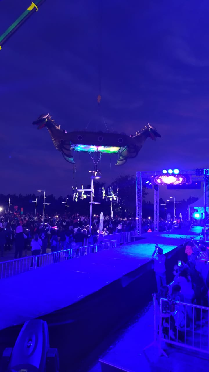 Festival Neuquén Crea — imagen 4