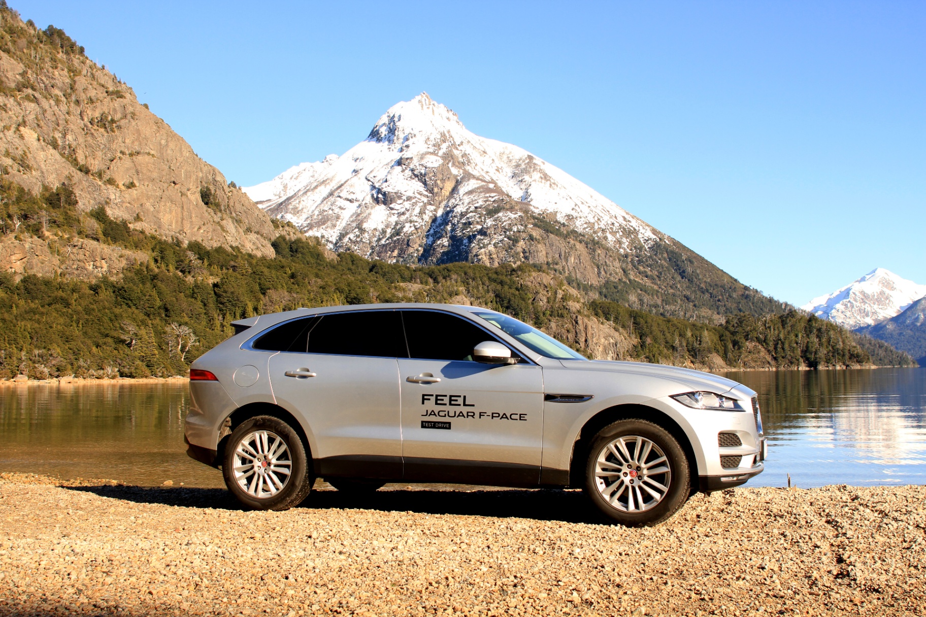 Jaguar — imagen 2