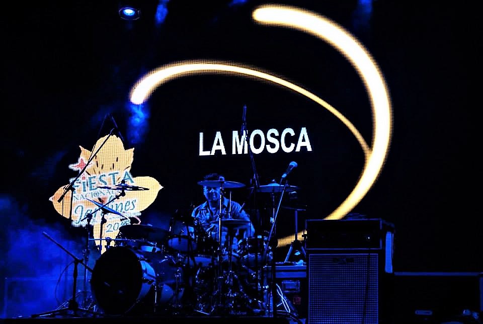 Fiesta Nacional de los Jardines — imagen 2