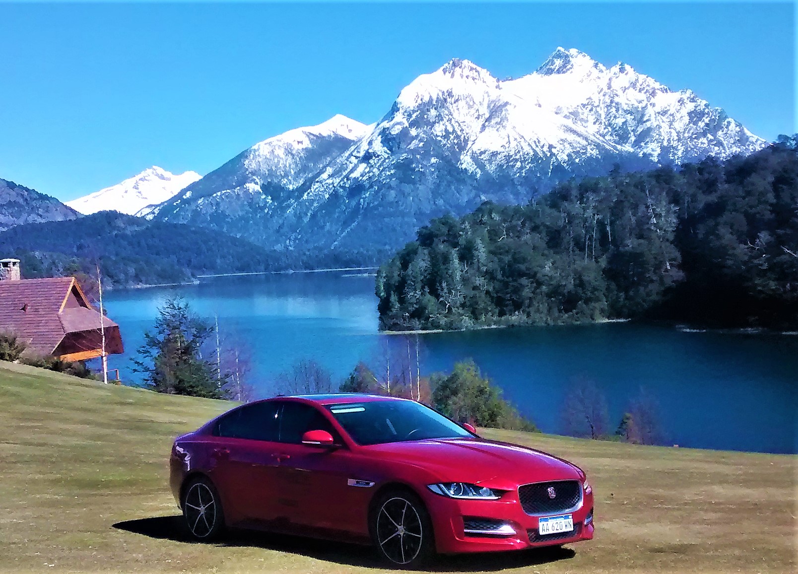 Jaguar — imagen 4