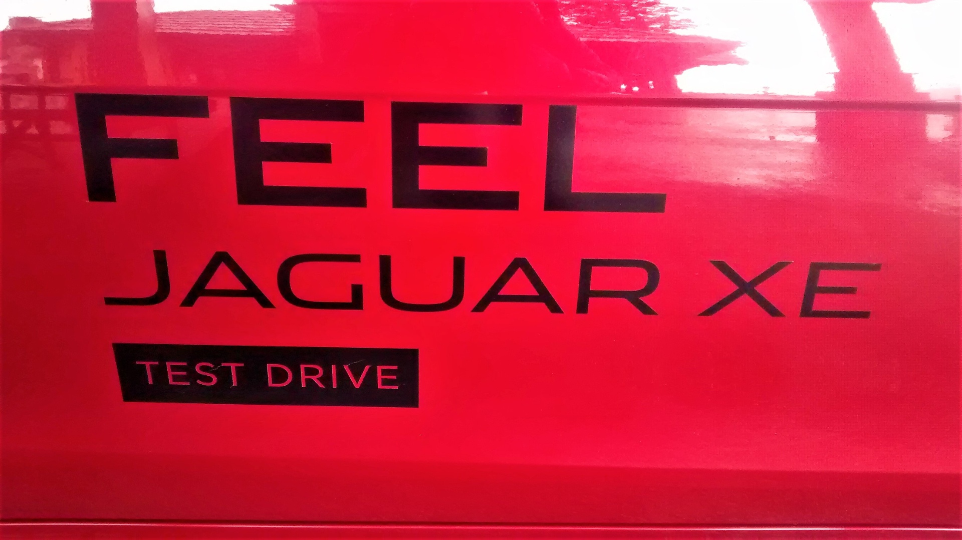 Jaguar — imagen 3