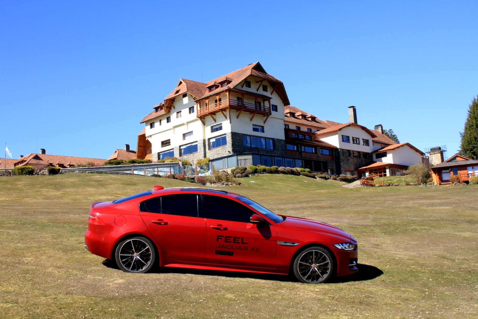 Jaguar — imagen 6